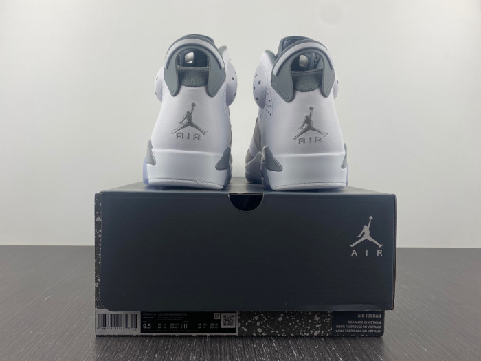 air jordan 6 "cool grey" ct8529-100
