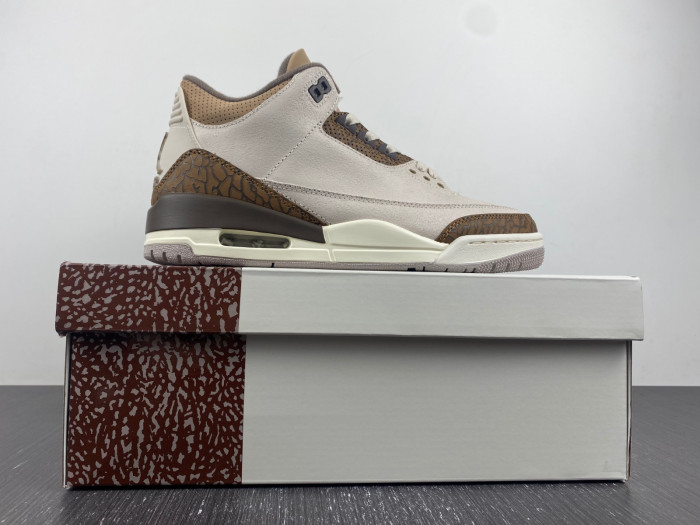 air jordan 3 palomino ct8532-102