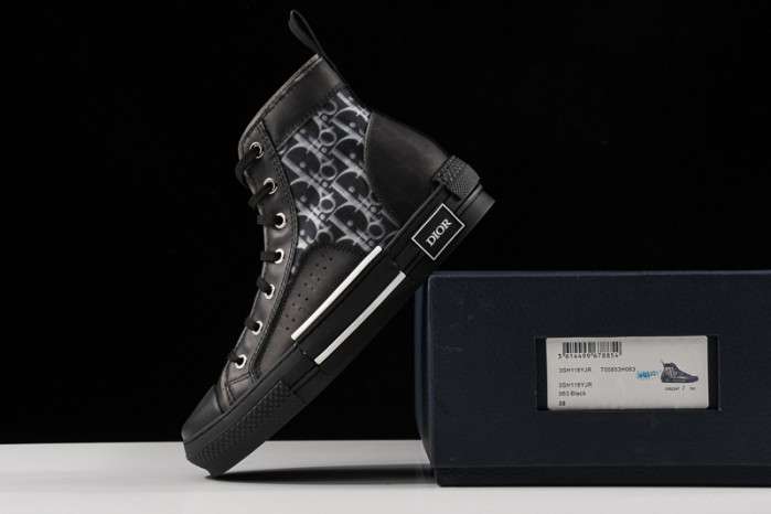 d10r b23 homme kaws high top sneaker