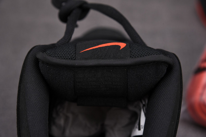 nike sb dunk low black pigeon 883232-008