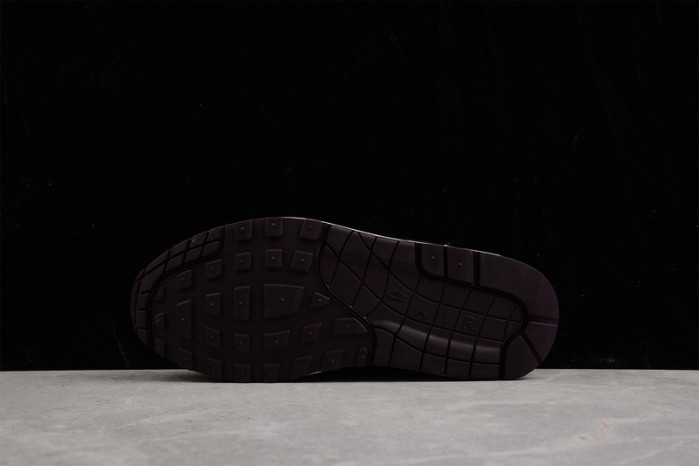 nike air max 1 sp concepts mellow - dn1803-300