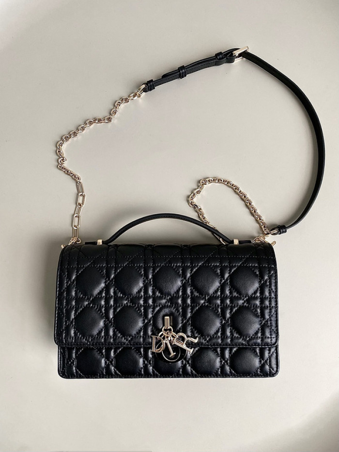 D*R bag 24×14×7.5cm B0113-153