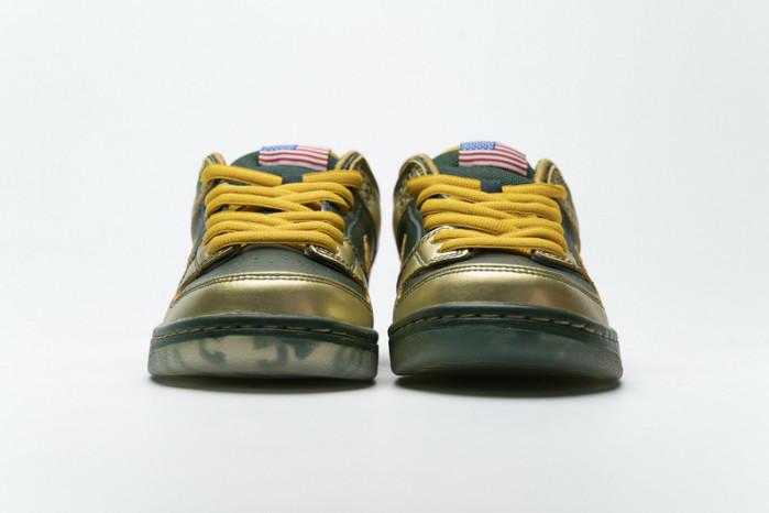 Nike Dunk Pro Low SB 