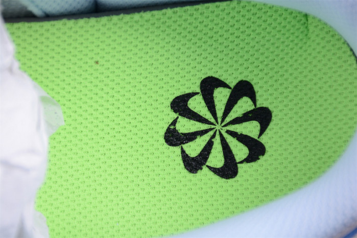 nike dunk low next nature 