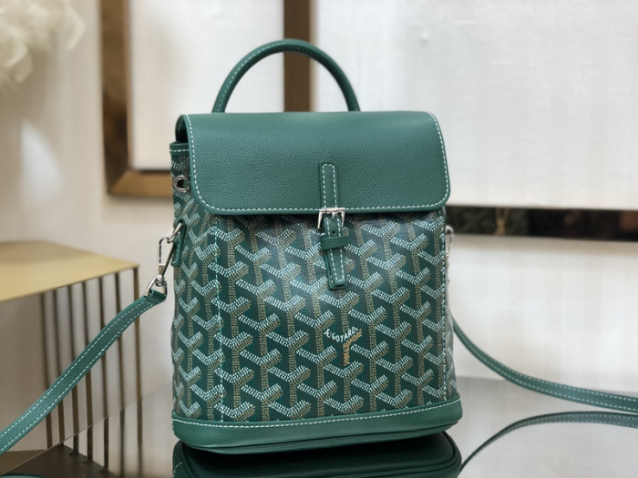 g0yard bag B0113-097