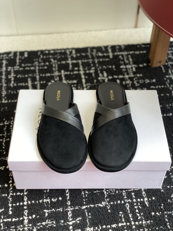 NEOUS Slides OT0104-034